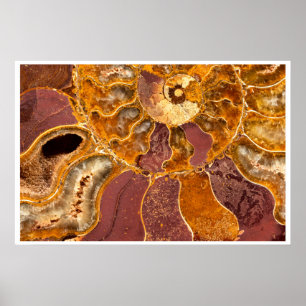 Ammonit-Fossil-Wandkunst   Erdtöne-Abstrakt Poster