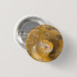 Ammonit und andere Fossilien im Foto Rock Button