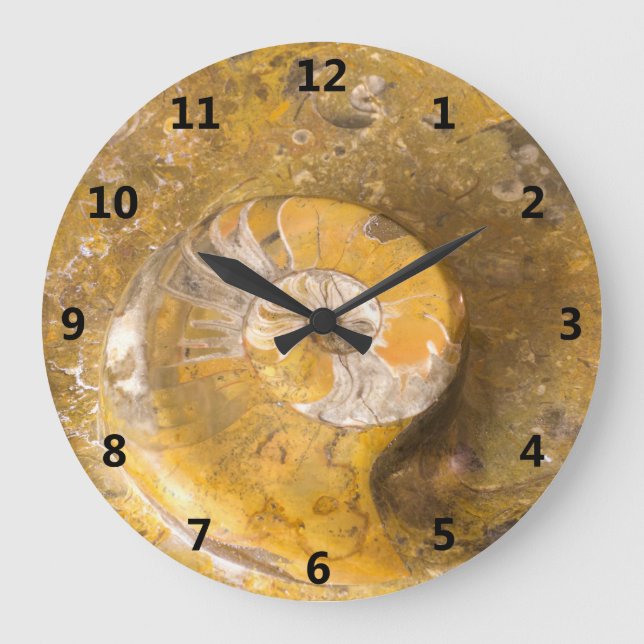 Ammonite and Other Fossils in Rock Photography Große Wanduhr (Vorderseite)
