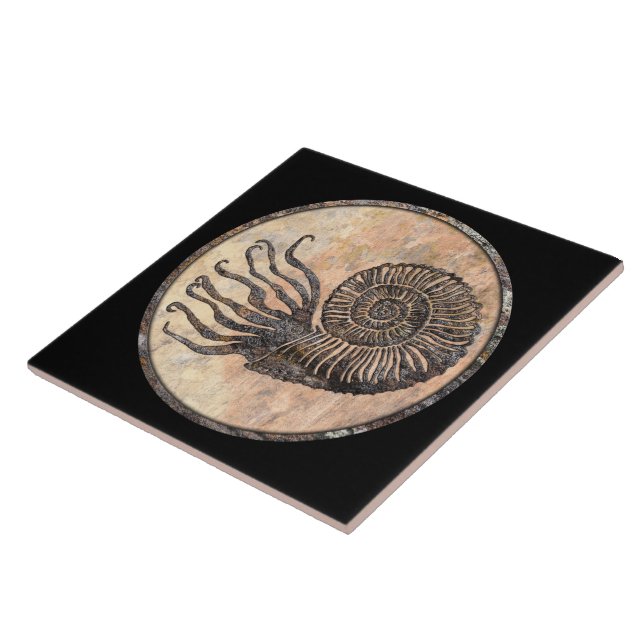 Ammonite Fossil Keramik Tile Fliese (Seite)