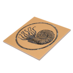 Ammonite Fossil Keramik Tile Fliese