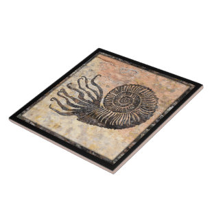 Ammonite Fossil Keramik Tile Fliese