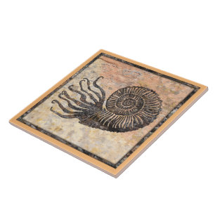 Ammonite Fossil Keramik Tile Fliese