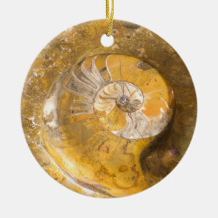 Ammonite Fossil Rock Nature Fotografy Keramik oder Ornament