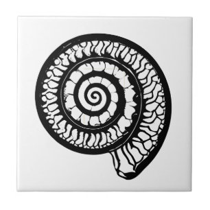 Ammonite Fossil - Spiral Seashell Fliese