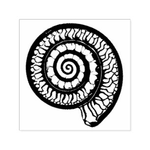 Ammonite Fossil - Spiral Seashell Permastempel