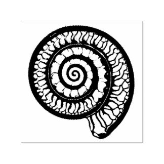 Ammonite Fossil - Spiral Seashell Permastempel