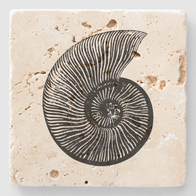 Ammonite Fossil Steinuntersetzer (Vorderseite)