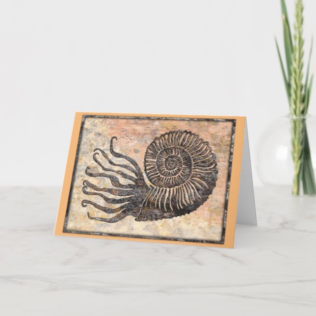 Ammonite Fossil Talking Canyons, New Mexico Card Karte (Vorderseite)