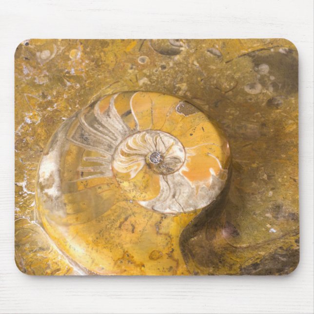 Ammonite Fossilien in Rock Fotografy Rockhound Mousepad (Vorne)