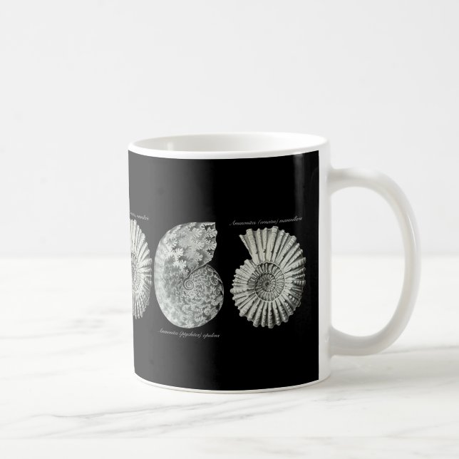 Ammoniten Kaffeetasse (Rechts)