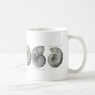Ammoniten Kaffeetasse