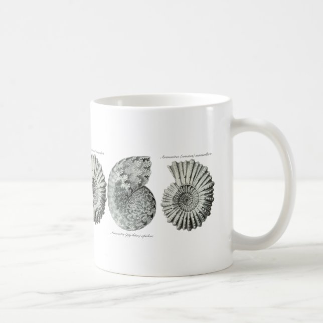 Ammoniten Kaffeetasse (Rechts)