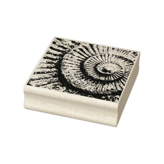 Ammonitstruktur Gummistempel