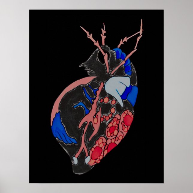 Amoeba Minx: Venen und Gefäße Poster (Vorne)