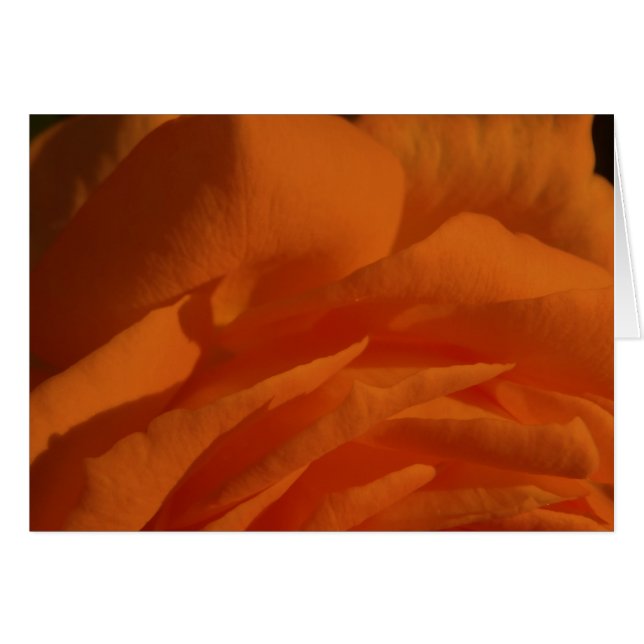 Amor de MI d'eres de Tú, vida de MI (Devant horizontal)