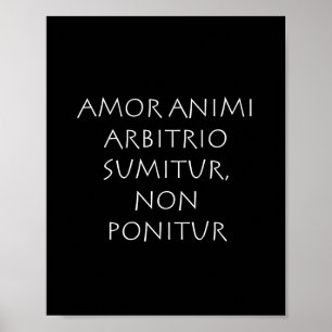 Amor Poster