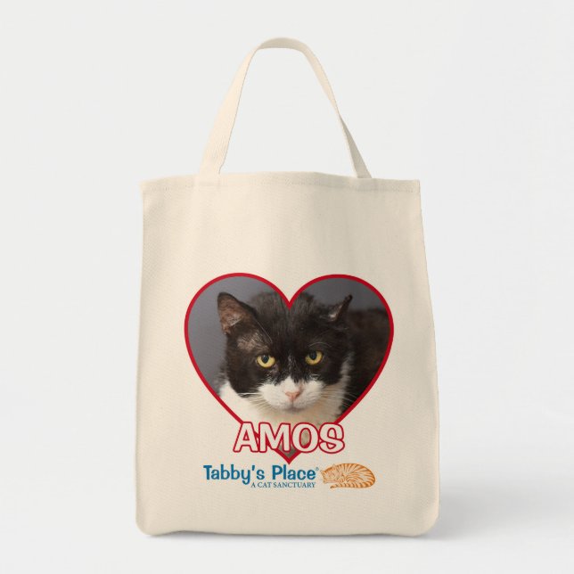 Amos - Baumwolllebensmittelgeschäft-Taschen-Tasche Tragetasche (Vorne)