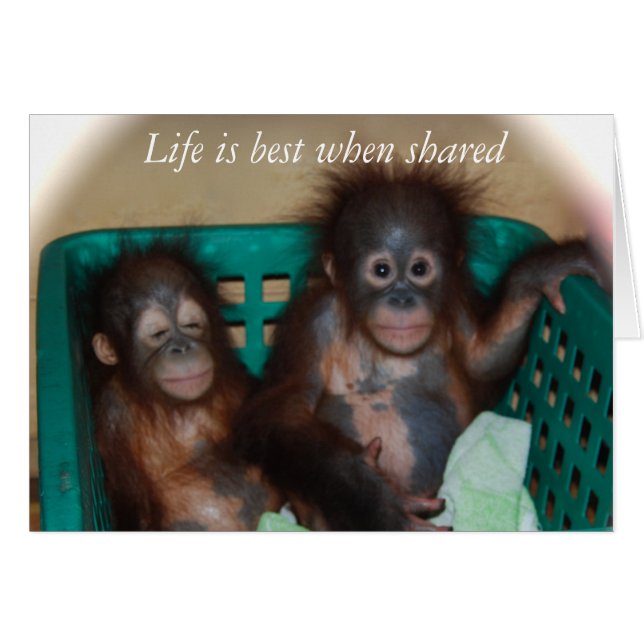 Amour (Devant horizontal)