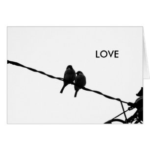 Amour/carte photo paires B&W de moineau
