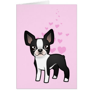 Amour de Boston Terrier