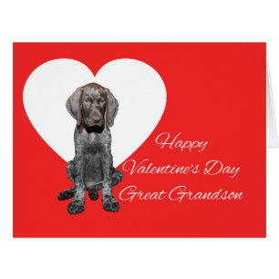 Amour de chiot grisâtre brillant de Valentine
