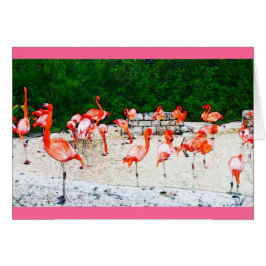 Amour de Flamant rose