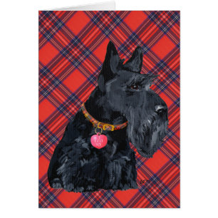 Amour de Terrier Écossais