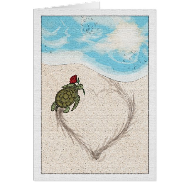 Amour de tortue (Devant)