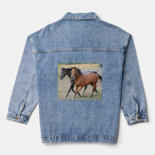 Amour des chevaux