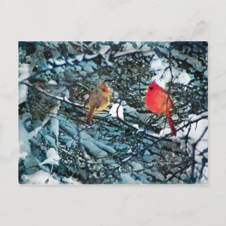 Amour d'hiver, carte postale