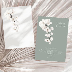 Amour et Merci Sage Green Mariage Orchidées Blanch