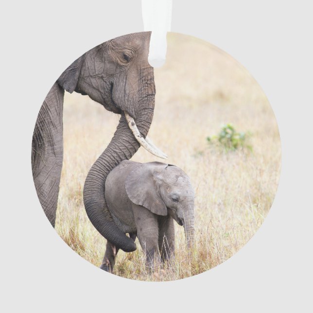 Amour maternel (dos)