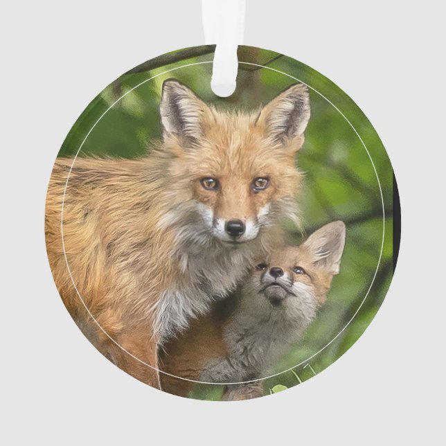 Amour Pour Père (dos)