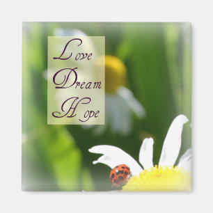 Amour, rêve, aimant de coccinelle d'espoir