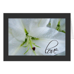 Amour sur un zantedeschia