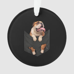 Amoureux de les chiens Chiens De Poche Dans Votr