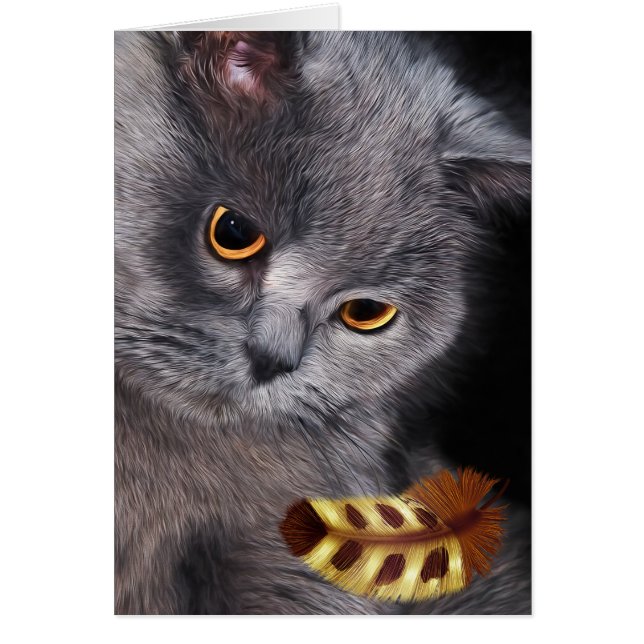 Amoureux des chats britannique à cheveux courts pe (Devant)