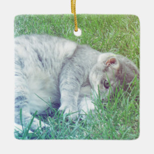 Amoureux des chats gris Votre photo Ornement de No