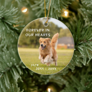 Amoureux des chiens Photo Pet Memory Ornement