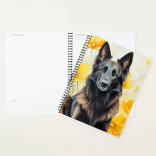 Amoureux du chien Tervuren belge et coquelicots