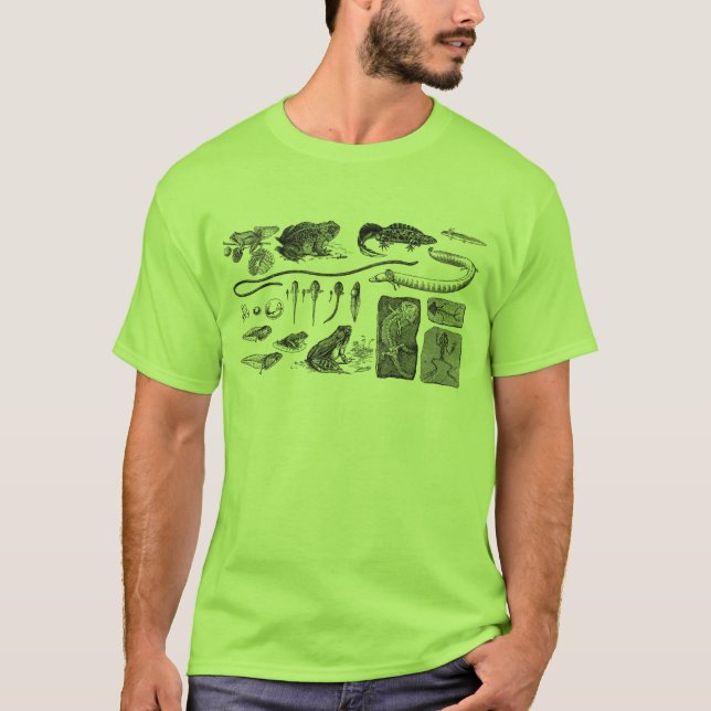 Amphibien-Evolution T-Shirt (Vorderseite)