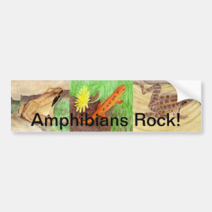 Amphibien Rock! Autoaufkleber