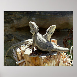 Amphion und Zethus Poster