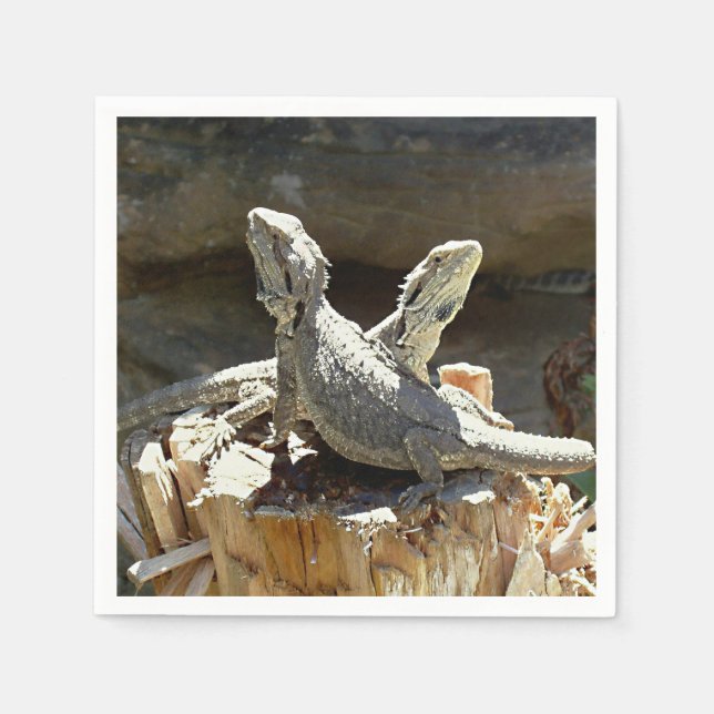 Amphion und Zethus Serviette (Vorderseite)