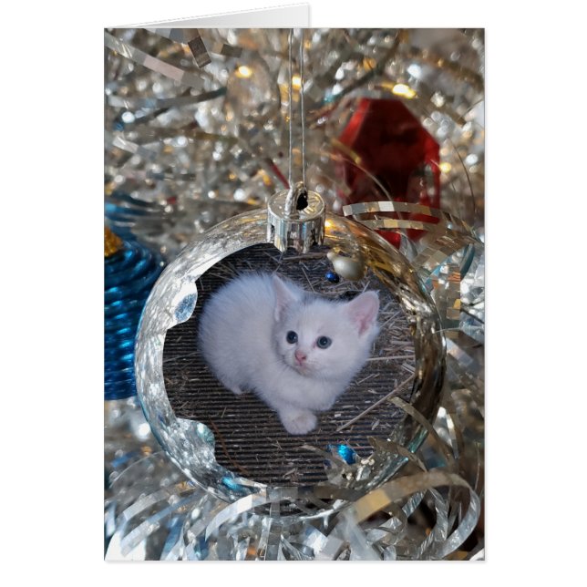 Ampoule en argent Cadre complet (Devant)