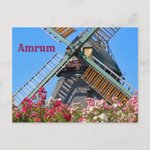 Amrum Windmill, Nebel, Nordfriesland, Deutschland Postkarte