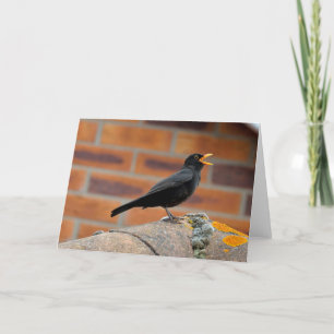 Amsel, die leere Grußkarte singt Karte