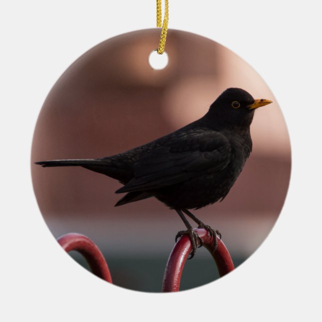 Amsel Keramikornament (Vorne)