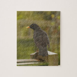 Amsel-Puzzlespiel